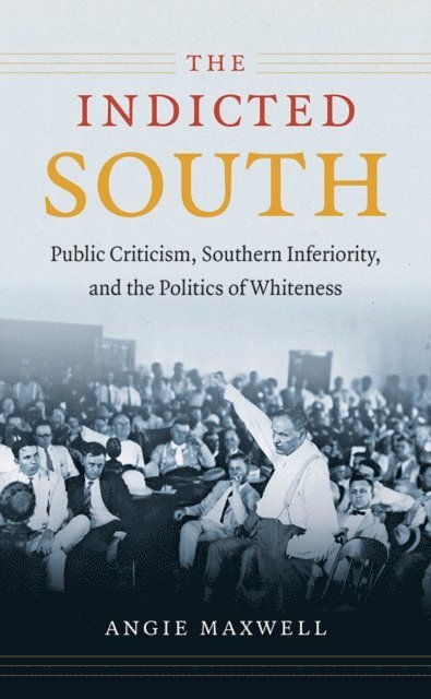 Angie Maxwell - Indicted South, E-bok