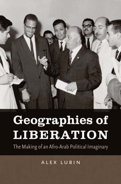 Alex Lubin - Geographies of Liberation, E-bok