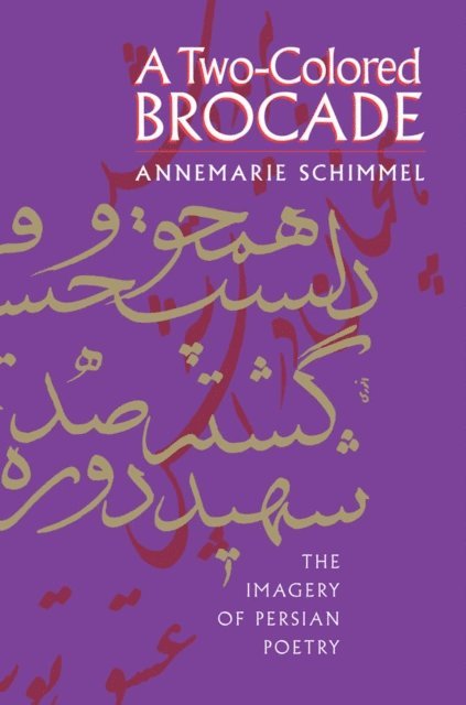 Annemarie Schimmel - Two-Colored Brocade, E-bok