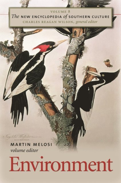 Martin V. Melosi - New Encyclopedia of Southern Culture, E-bok