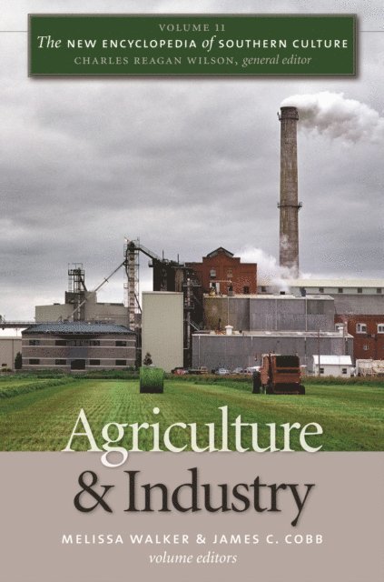 James C. Cobb, Melissa Walker - New Encyclopedia of Southern Culture, E-bok