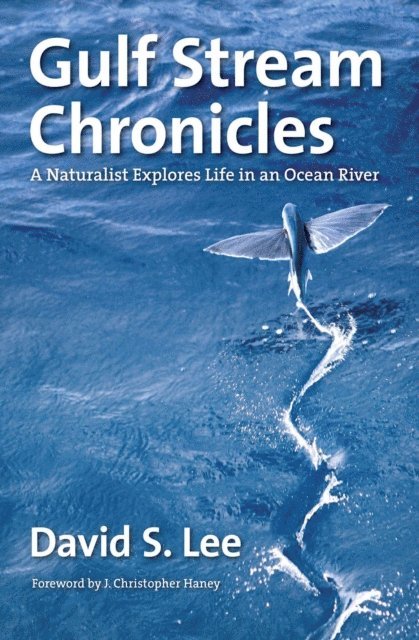 David S. Lee - Gulf Stream Chronicles, E-bok