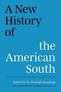 New History of the American South