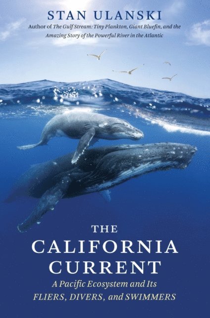Stan Ulanski - California Current, E-bok