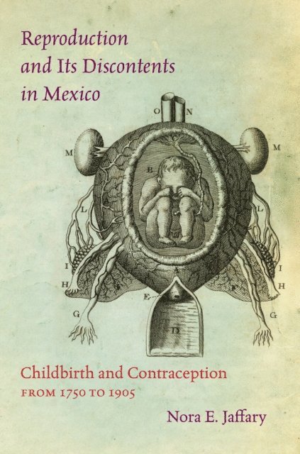 Nora E. Jaffary - Reproduction and Its Discontents in Mexico, E-bok