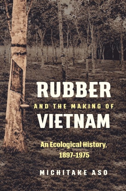 Michitake Aso - Rubber and the Making of Vietnam, E-bok