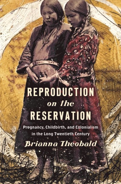 Brianna Theobald - Reproduction on the Reservation, E-bok