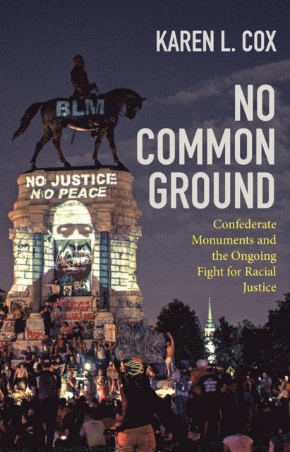 Karen L. Cox - No Common Ground, E-bok