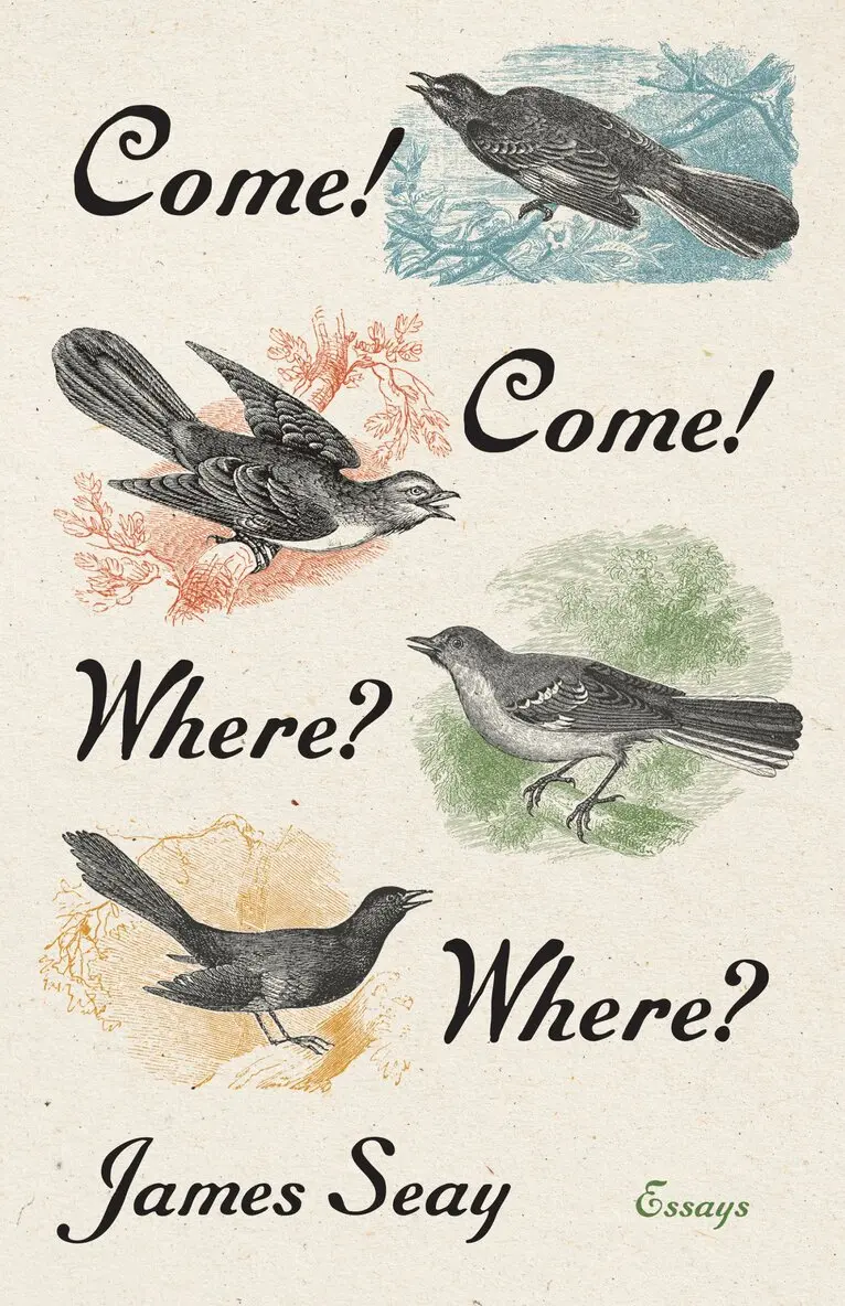 James Seay - Come! Come! Where? Where?, Inbunden. Tillgänglighet: Lägg i varukorg