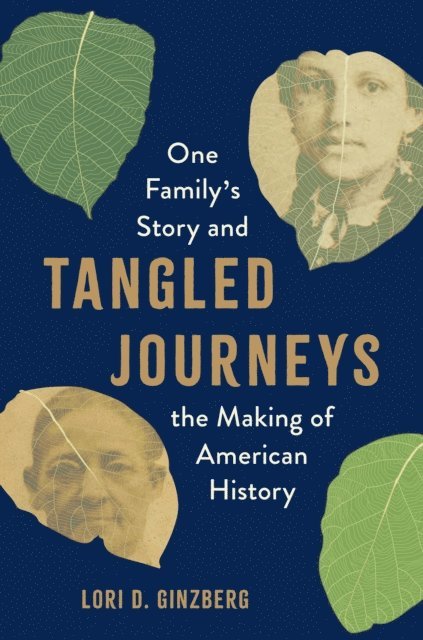 Lori D. Ginzberg - Tangled Journeys, E-bok
