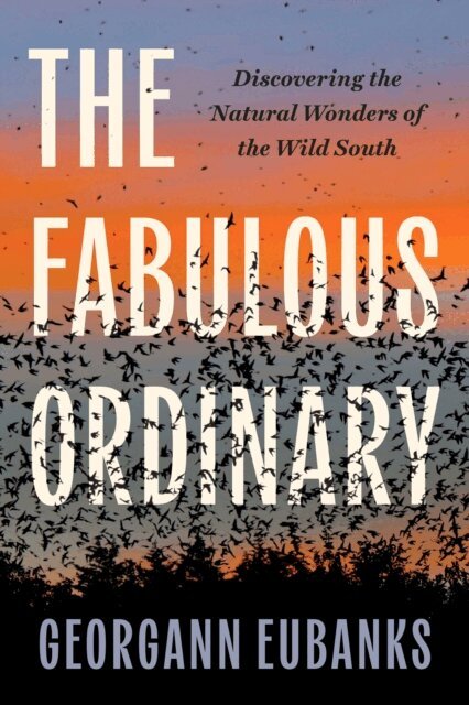 Georgann Eubanks - Fabulous Ordinary, E-bok