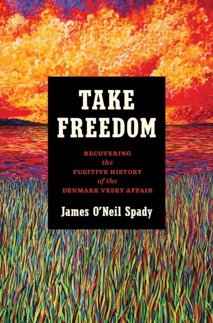 James O'Neil Spady - Take Freedom, E-bok