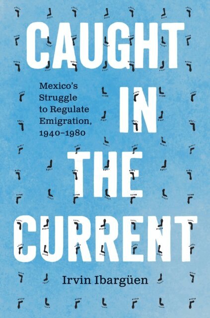 Irvin Ibarguen - Caught in the Current, E-bok