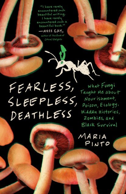 Maria Pinto - Fearless, Sleepless, Deathless, E-bok