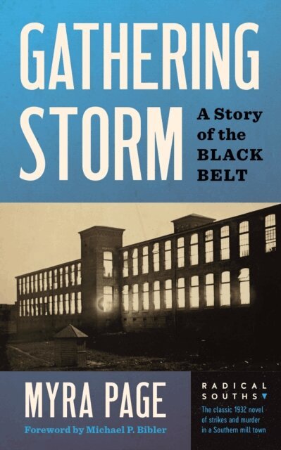 Myra Page - Gathering Storm, E-bok