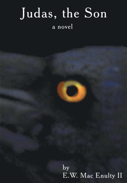 Writers Club Press - Judas, the Son, E-bok
