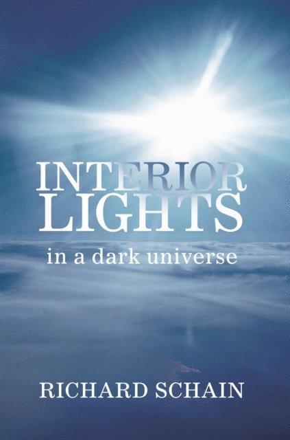 Richard Schain - Interior Lights in a Dark Universe, E-bok