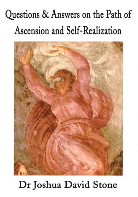 Dr Joshua David Stone - Questions & Answers on the Path of Ascension and Self-Realization, E-bok