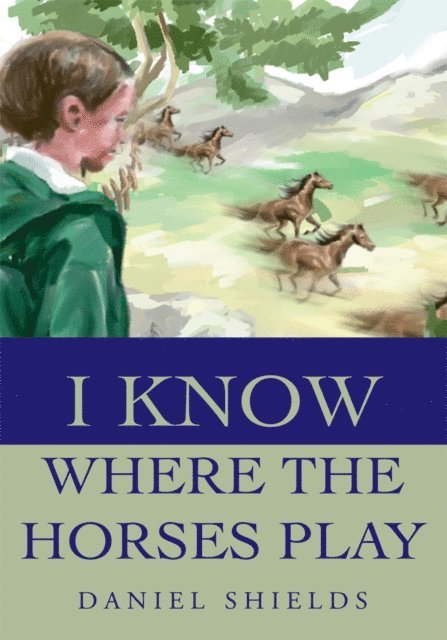 Daniel Shields - I Know Where the Horses Play, E-bok