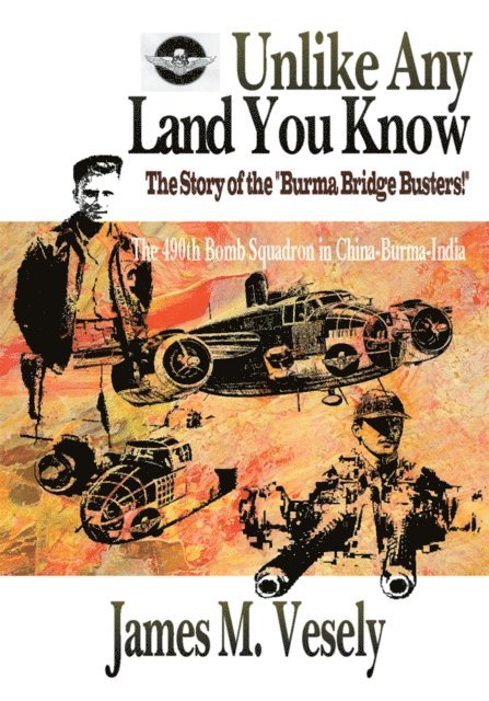 James M. Vesely - Unlike Any Land You Know, E-bok