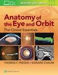 Anatomy of the Eye and Orbit