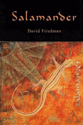 David D Friedman - Salamander, Häftad. Tillgänglighet: Lägg i varukorg