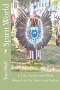Spirit World: A Love Letter and Olive Branch to the American Indian