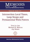 Intersection Local Times, Loop Soups and Permanental Wick Powers