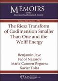 The Riesz Transform of Codimension Smaller Than One and the Wolff Energy
