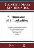 A Panorama of Singularities