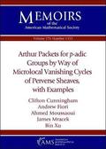 Arthur Packets for $p$-adic Groups by Way of Microlocal Vanishing Cycles of Perverse Sheaves, with Examples