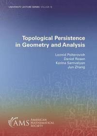 Topological Persistence in Geometry and Analysis