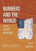 Numbers and the World