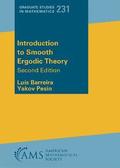Introduction to Smooth Ergodic Theory