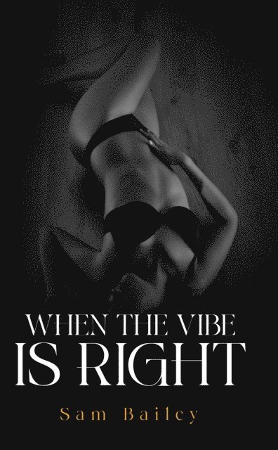 Sam Bailey - When the Vibe Is Right, E-bok