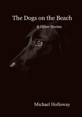 Michael Holloway - Dogs on the Beach and Other Stories, Häftad