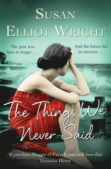 Susan Elliot Wright - Things We Never Said, E-bok