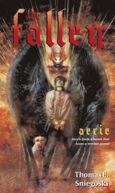 THOMAS E. SNIEGOSKI - Aerie, E-bok