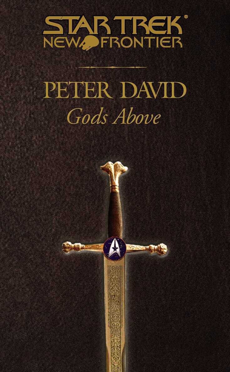 Peter David - Gods Above, E-bok
