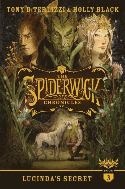 Tony DiTerlizzi, Holly Black - Lucinda's Secret, E-bok