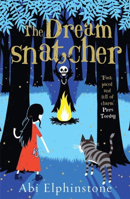 Abi Elphinstone - Dreamsnatcher, E-bok
