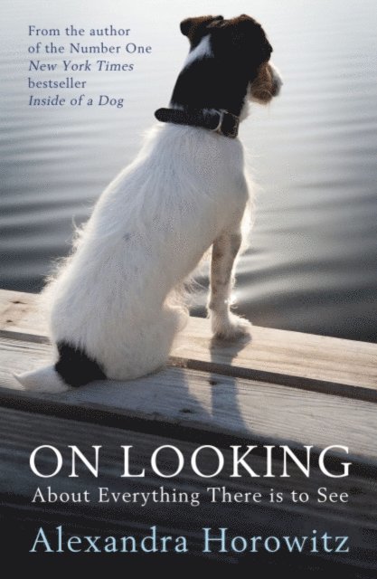 Alexandra Horowitz - On Looking, E-bok