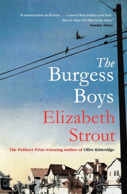 Elizabeth Strout - Burgess Boys, E-bok