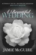 Beautiful Wedding