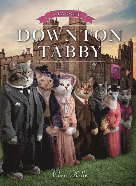Chris Kelly - Downton Tabby, E-bok