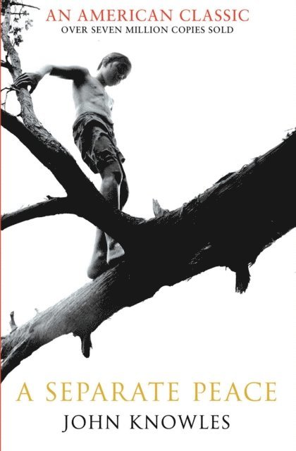 John Knowles - Separate Peace, E-bok. Tillgänglighet: Lägg i varukorg