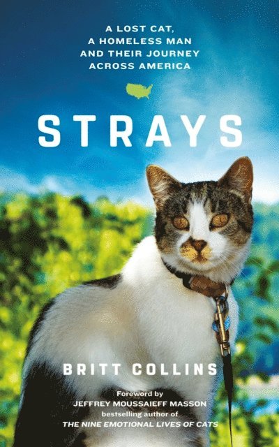 Britt Collins - Strays, E-bok