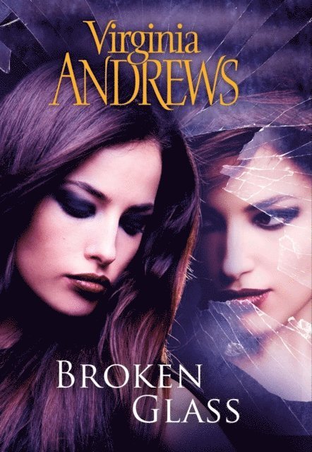 Virginia Andrews - Broken Glass, E-bok