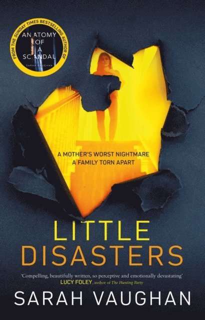 Sarah Vaughan - Little Disasters, E-bok