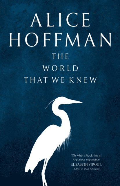 Alice Hoffman - World That We Knew, E-bok